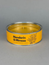 Mandarin & Mimosa Candle